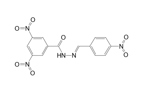 3,5-Dinitro-N'-[(E)-(4-nitrophenyl)methylidene]benzohydrazide