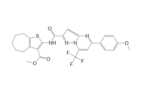 methyl 2-({[5-(4-methoxyphenyl)-7-(trifluoromethyl)pyrazolo[1,5-a]pyrimidin-2-yl]carbonyl}amino)-5,6,7,8-tetrahydro-4H-cyclohepta[b]thiophene-3-carboxylate