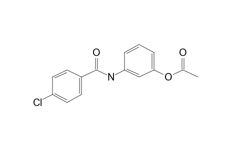 4-Chloro-N-(3-hydroxyphenyl)benzamide, ac derivative