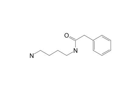 N-(4-aminobutyl)-2-phenyl-acetamide