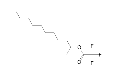 trifluoroacetic acid, 2-undecyl ester