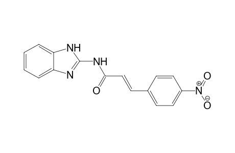 (E)-N-(1H-benzimidazol-2-yl)-3-(4-nitrophenyl)-2-propenamide