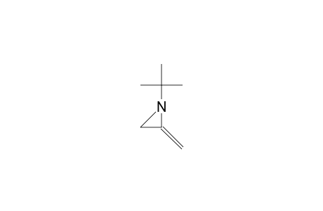 1-tert-Butyl-2-methylene-aziridine