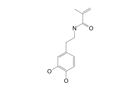 DOPAMINE-METHACRYLAMIDE;DMA