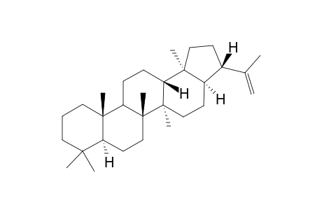 (17.alpha.H,21.beta.H)-Hop-22(29)-ene