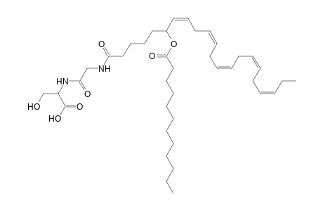 NAGlySer 12:0/22:5