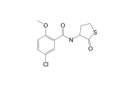 5-Chloro-2-methoxy-N-(2-oxotetrahydro-3-thienyl)benzamide