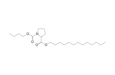 L-Proline, N-butoxycarbonyl-, tridecyl ester