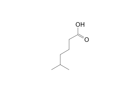 5-METHYL-1-HEXENOIC-ACID