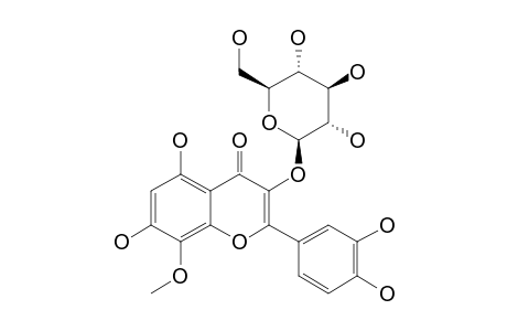 GOSSYPETIN-8-METHYLETHER-3-GLUCOPYRANOSIDE