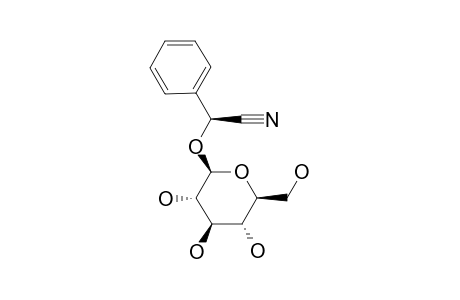 SAMBUNIGRIN;(S)-BETA-D-GLUCOPRANOSYLOXY-PHENYLACETONITRILE