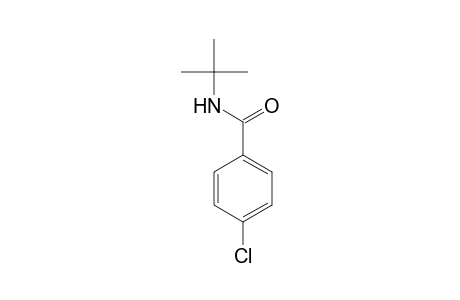 benzamide, 4-chloro-N-(1,1-dimethylethyl)-