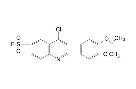 4-chloro-2-(4-ethoxy-3-methoxyphenyl)-6-quinolinesulfonyl fluoride