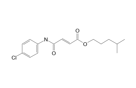 Fumaric acid, monoamide, N-(4-chlorophenyl)-, isohexyl ester