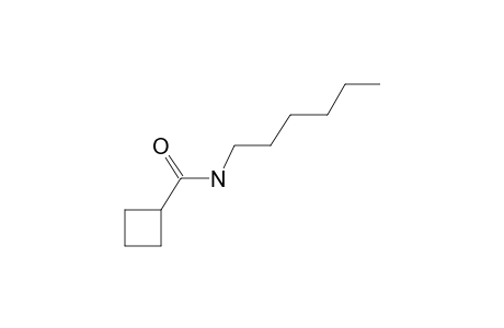 Cyclobutanecarboxamide, N-hexyl-