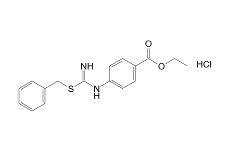 p-{[1-(benzylthio)formimidoyl]amino}benzoic acid, ethyl ester monohydrochloride