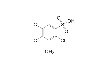 2,4,5-trichlorobenzenesulfonic acid, hydrate