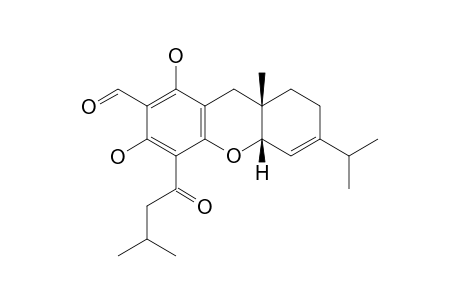 EUGLOBAL-G10