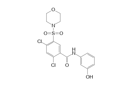 2,4-bis(chloranyl)-N-(3-hydroxyphenyl)-5-morpholin-4-ylsulfonyl-benzamide