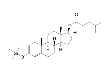 Testosteron isocaproate tms