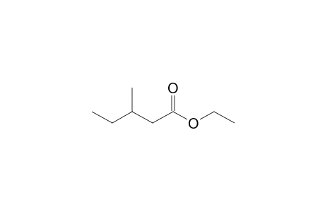 Pentanoic acid <3-methyl-, ethyl-> ester