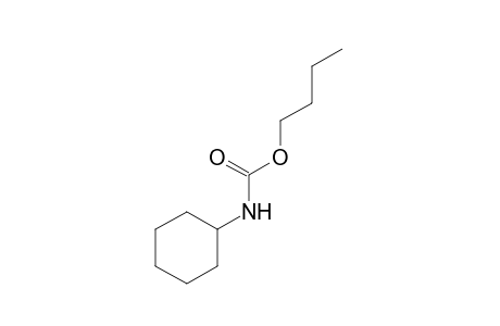 cyclohexanecarbamic acid, butyl ester