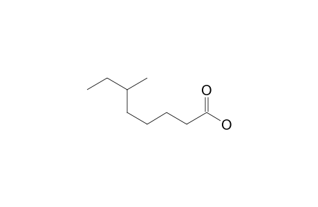 6-Methyloctanoic acid