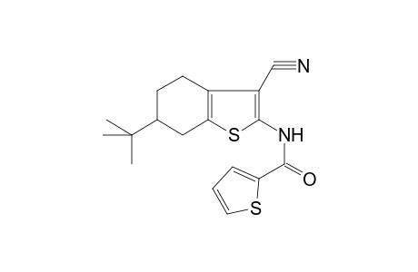 N-(6-tert-butyl-3-cyano-4,5,6,7-tetrahydro-1-benzothien-2-yl)-2-thiophenecarboxamide