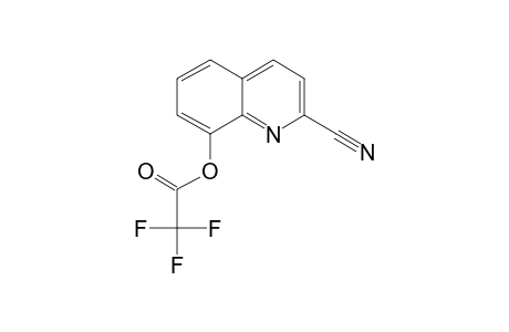 2-Carbonitrile-8-hydroxyquinoline, trifluoroacetate