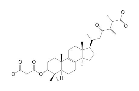 3-ALPHA-CARBOXYACETOXY-24-METHYLENE-23-OXOLANOST-8-EN-26-OIC-ACID