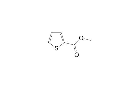 2-Thiophenecarboxylic acid methyl ester
