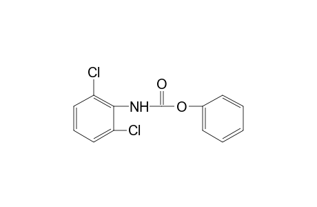 2,6-dichlorocarbanilic acid, phenyl ester