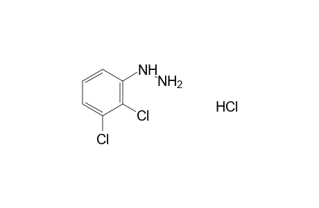 2,3-Dichlorophenylhydrazine hydrochloride