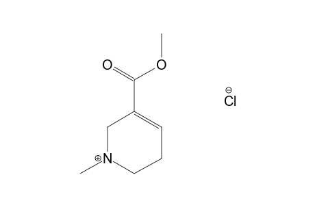 arecoline, hydrochloride