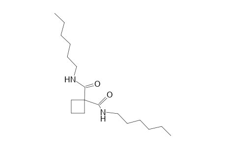 N,N'-DIHEXYL-1,1-CYCLOBUTANEDICARBOXAMIDE