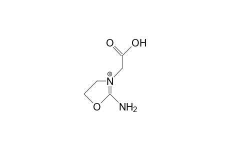 1-Carboxymethyl-2-amino-oxazole cation