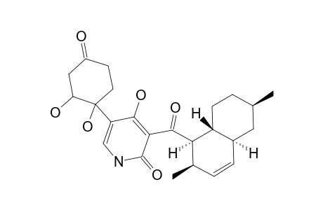 DIDYMELLAMIDE_D