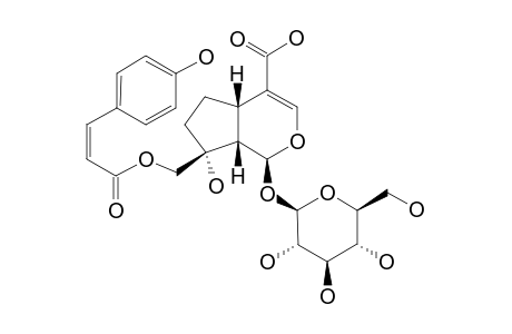 10-PARA-CIS-COUMAROYL-1-S-DIHYDROMONOTROPEIN
