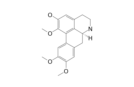 Nor-predicentrine