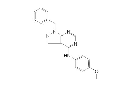 1H-pyrazolo[3,4-d]pyrimidin-4-amine, N-(4-methoxyphenyl)-1-(phenylmethyl)-