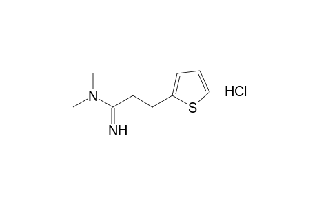 N,N-dimethyl-2-thiophenepropionamidine, monohydrochloride