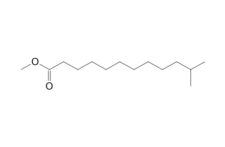 Dodecanoic acid, 11-methyl-, methyl ester