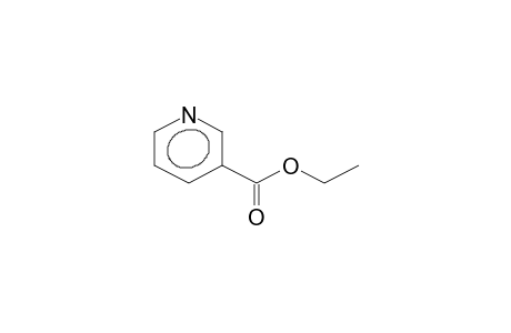 Nicotinic acid ethyl ester