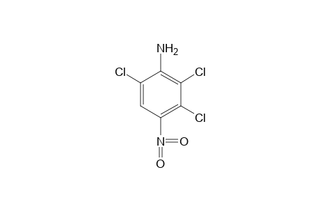 4-nitro-2,3,6-trichloroaniline
