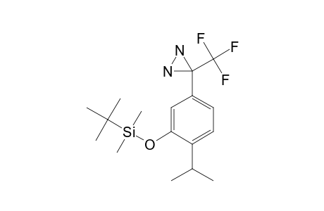 3-[3-(TERT.-BUTYLDIMETHYLSILANYLOXY)-4-ISOPROPYLPHENYL]-3-TRIFLUOROMETHYLDIAZIRIDINE