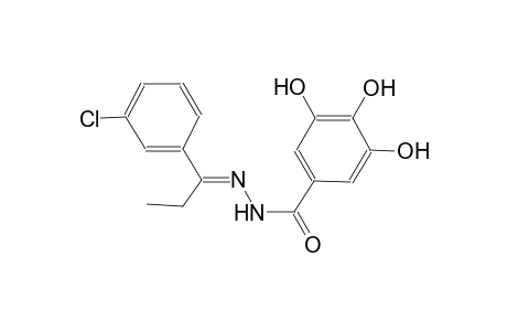 N'-[(E)-1-(3-chlorophenyl)propylidene]-3,4,5-trihydroxybenzohydrazide