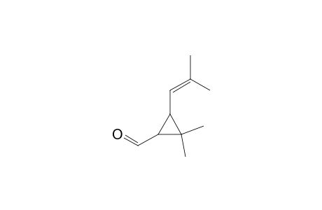 TRANS-CHRYSANTHEMAL