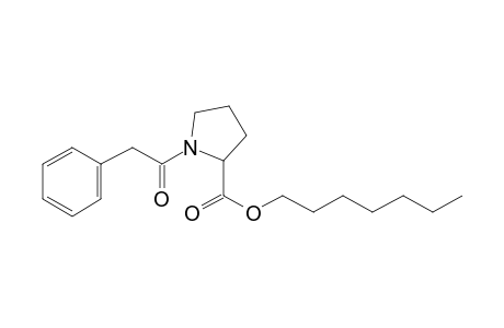 L-Proline, N-(phenylacetyl)-, heptyl ester