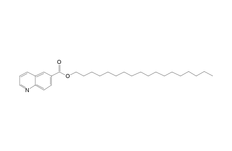 Quinoline-6-carboxylic acid, octadecyl ester