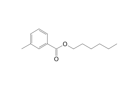 m-Toluic acid, hexyl ester